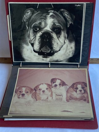 BEST IN SHOW DOG SHOW EARL GRAHAM PRESS PHOTOS SEPT 1966-1978