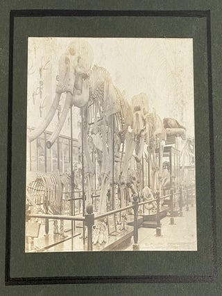1911 TRIP to INDIA - MUNRO FAMILY - LARGE PHOTO ALBUM