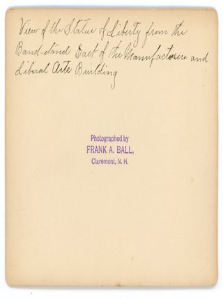 1893 WORLD'S FAIR - COLUMBIAN EXPOSITION - PHOTO COLLECTION - UNUSUAL PERSPECTIVES