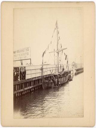 1893 WORLD'S FAIR - COLUMBIAN EXPOSITION - PHOTO COLLECTION - UNUSUAL PERSPECTIVES