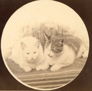 TWO CATS CABINET CARD PHOTO MARSHFIELD, OREGON