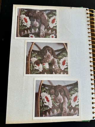 PRIZE WINNING BIRD DOG 1972 PHOTO ALBUM