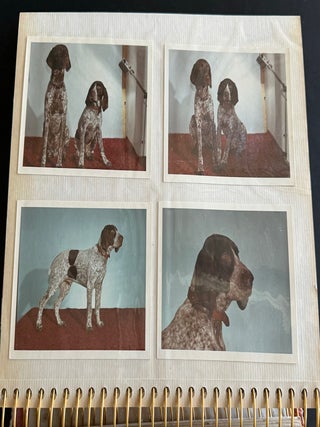 PRIZE WINNING BIRD DOG 1972 PHOTO ALBUM