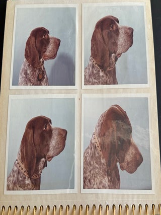 PRIZE WINNING BIRD DOG 1972 PHOTO ALBUM