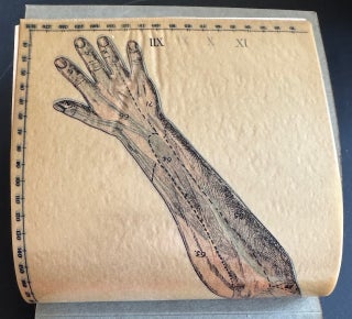Baillière’s Synthetic Anatomy, 1928-30; Atlas of the Entire Human Anatomy, told in transparencies, in a series of bound portfolios