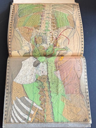 Baillière’s Synthetic Anatomy, 1928-30; Atlas of the Entire Human Anatomy, told in transparencies, in a series of bound portfolios
