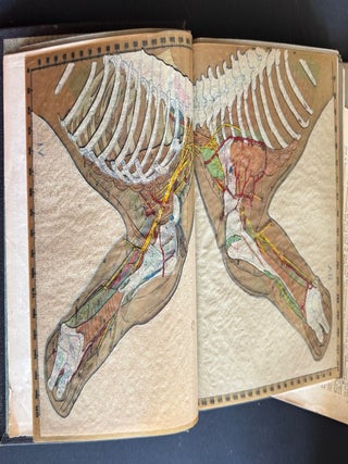 Baillière’s Synthetic Anatomy, 1928-30; Atlas of the Entire Human Anatomy, told in transparencies, in a series of bound portfolios