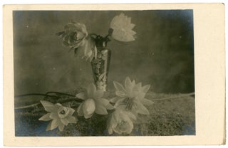 Item #15 VASE OF FLOWERS REAL PHOTO POSTCARD 1913