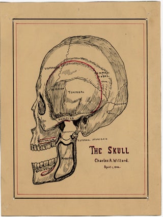 Ink & Imagination: The Drawings of Charles A. Willard, 1910&ndash;1915
