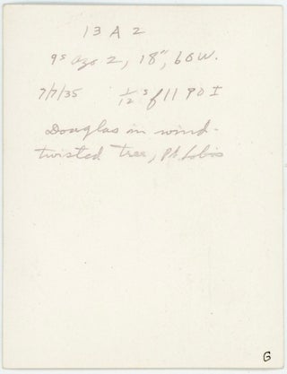 Astrophysicist Gordon Webb Wares - Adler Planetarium, Yerkes Observatory, Manhattan Project - Personal Photo Archive 1920s-1940s
