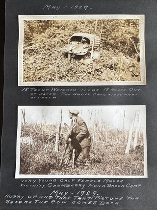 CANADA MOOSE HUNTING, GUIDES, CANOES & CAMP LIFE PHOTO ALBUM, 1916–1930, ROCKY LAKE / CRANBERRY POND / GREAT PUBNICO LAKE