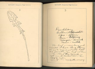 BOTANY NOTE BOOK EMPORIA HIGH SCHOOL KANSAS STUDENT MANUSCRIPT WITH 78 HAND-DRAWN BOTANICAL STUDIES