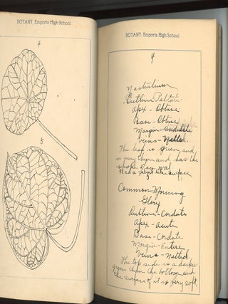 BOTANY NOTE BOOK EMPORIA HIGH SCHOOL KANSAS STUDENT MANUSCRIPT WITH 78 HAND-DRAWN BOTANICAL STUDIES
