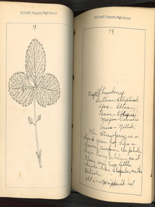 BOTANY NOTE BOOK EMPORIA HIGH SCHOOL KANSAS STUDENT MANUSCRIPT WITH 78 HAND-DRAWN BOTANICAL STUDIES