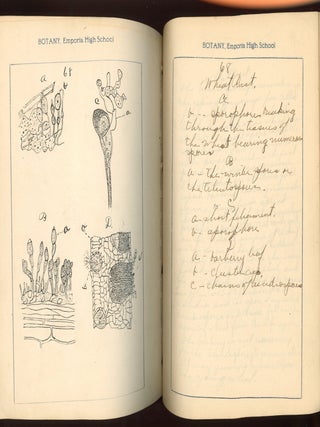 BOTANY NOTE BOOK EMPORIA HIGH SCHOOL KANSAS STUDENT MANUSCRIPT WITH 78 HAND-DRAWN BOTANICAL STUDIES