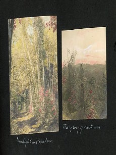 ORANGE MASSACHUSETTS FAMILY PHOTO ALBUM WITH BOY SCOUTS, GIRL SCOUTS, CAMP SETON, LAKE WYOLA, LAKE MATTAWA, BASEBALL & WORLD WAR I HOME FRONT, 1914&ndash;1917