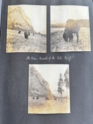 1916-1918 CROSS-CANADA PHOTO ALBUM BANFF VANCOUVER REGINA NOVA SCOTIA CHICAGO MILWAUKEE 270 PHOTOS