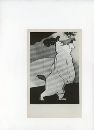 ANONYMOUS COLLECTION OF PHOTOGRAPHS OF ANIMATED CARTOONS TAKEN FROM TELEVISION