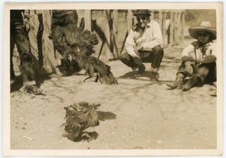 ARIZONA AND THE WEST PHOTO LOT FROM 1935