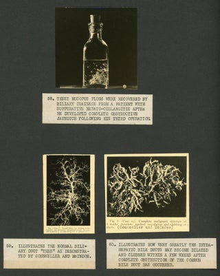 SCIENTIFIC RESEARCH ON BILIARY DRAINAGE PHOTO ALBUM WITH RESEARCH WITH WOMEN CONTRIBUTORS 1935