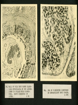 SCIENTIFIC RESEARCH ON BILIARY DRAINAGE PHOTO ALBUM WITH RESEARCH WITH WOMEN CONTRIBUTORS 1935