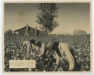 1940s FARM LABOR PHOTOS from SCENIC SOUTH MAGAZINE - LOUISVILLE KY