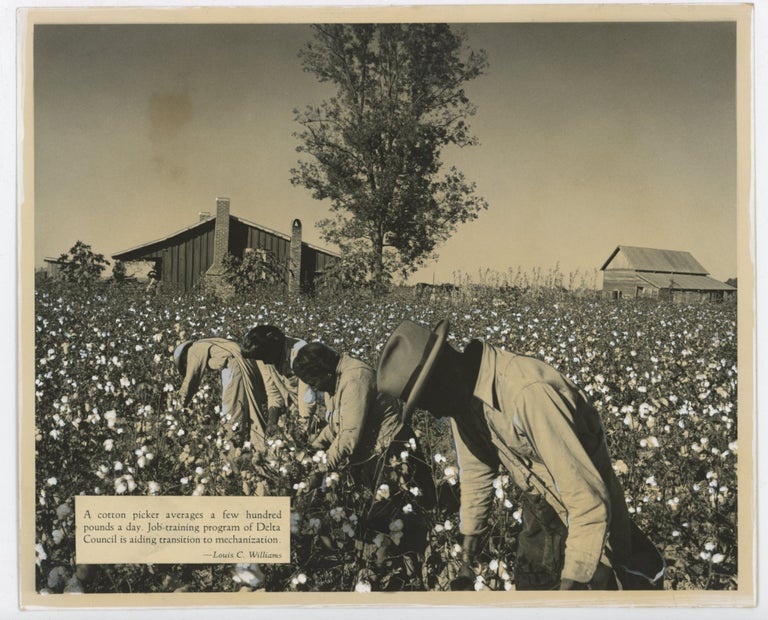 Item #227 1940s FARM LABOR PHOTOS from SCENIC SOUTH MAGAZINE - LOUISVILLE KY