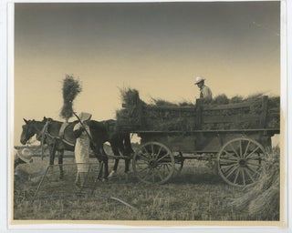 1940s FARM LABOR PHOTOS from SCENIC SOUTH MAGAZINE - LOUISVILLE KY