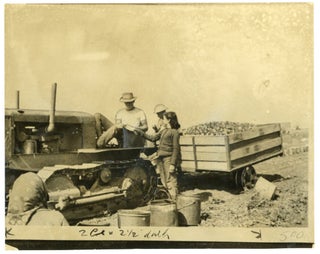 Item #239 CHILD FARM LABOR CALIFORNIA PRESS PHOTO 1942 #1