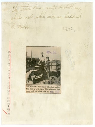 CHILD FARM LABOR CALIFORNIA PRESS PHOTO 1942 #1