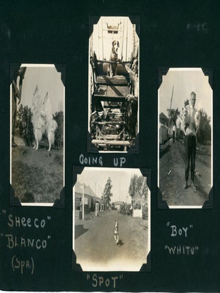 1920s AMUSEMENT PARK PHOTO ALBUM PAGES - ROLLER COASTERS