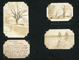 1929 MID-WEST TRAVEL PHOTO ALBUM WORKING ON TREES