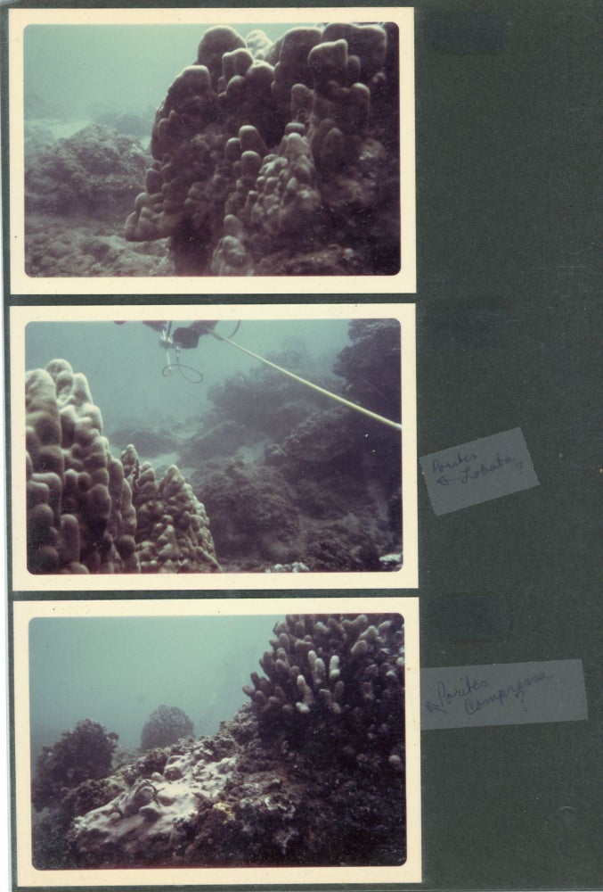 Item #336 1971 HAWAII PHOTO ALBUM UNDER WATER DIVING EXPLORATION FOR PROPOSED PLANT SITE