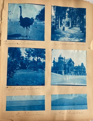 1899-1901 TRAVEL & HOME PHOTO ALBUM YELLOWSTONE CALIFORNIA CYANOTYPES