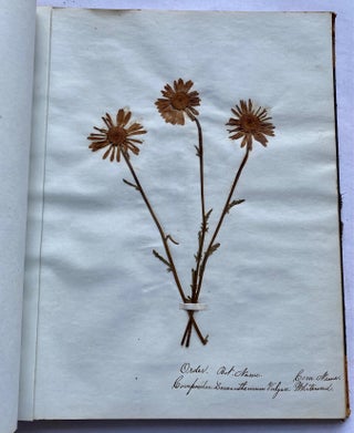 Item #606 19th CENTURY HERBARIUM - PRESSED PLANT SPECIMANS SCRAPBOOK