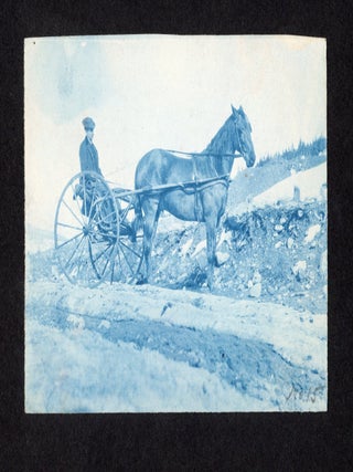 LEADVILLE COLORADO MINING PHOTO ALBUM 1890s