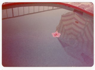 Item #71 A FLOWER IN A POOL WITH ODD REFLECTION VINTAGE SNAPSHOT