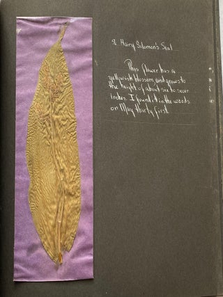 WILD FLOWER HERBARIUM SCRAPBOOK c. 1950