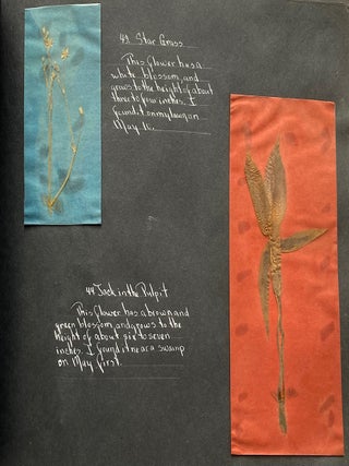 WILD FLOWER HERBARIUM SCRAPBOOK c. 1950