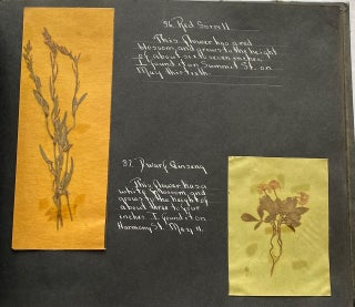 WILD FLOWER HERBARIUM SCRAPBOOK c. 1950