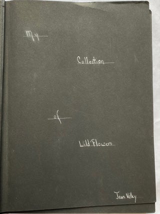 WILD FLOWER HERBARIUM SCRAPBOOK c. 1950