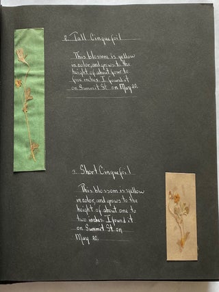 WILD FLOWER HERBARIUM SCRAPBOOK c. 1950