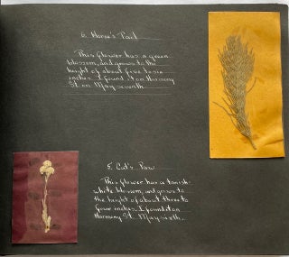 WILD FLOWER HERBARIUM SCRAPBOOK c. 1950