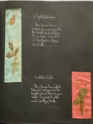 WILD FLOWER HERBARIUM SCRAPBOOK c. 1950