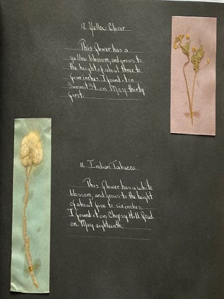 WILD FLOWER HERBARIUM SCRAPBOOK c. 1950