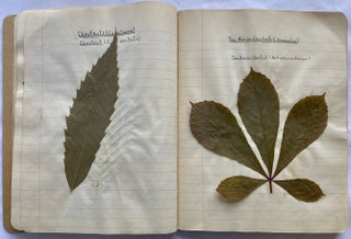 FOLK ART HERBARIUM TREES & FERNS of NYC - HOMEMADE SCRAPBOOK