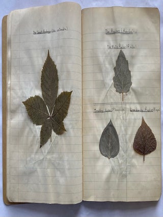 FOLK ART HERBARIUM TREES & FERNS of NYC - HOMEMADE SCRAPBOOK