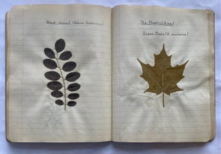 FOLK ART HERBARIUM TREES & FERNS of NYC - HOMEMADE SCRAPBOOK