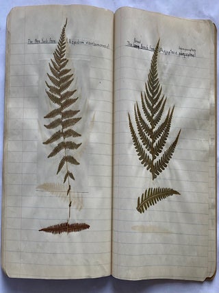 FOLK ART HERBARIUM TREES & FERNS of NYC - HOMEMADE SCRAPBOOK