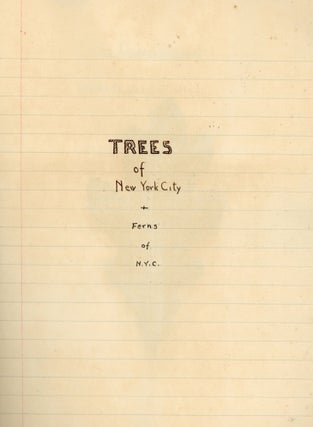 FOLK ART HERBARIUM TREES & FERNS of NYC - HOMEMADE SCRAPBOOK